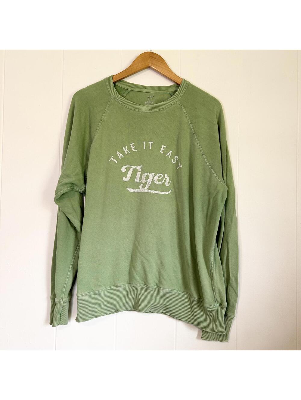 Aerie Take it Easy Tiger Long Sleeve Pullover Oversized Crewneck Women's Small